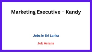 Marketing Executive – Kandy