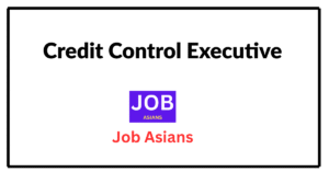 Credit Control Executive