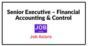 Senior Executive – Financial Accounting & Control